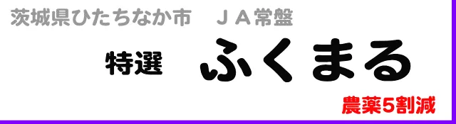 【３月キャンペーン】