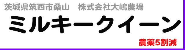 【３月キャンペーン】