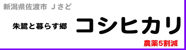1kg1530円→1300円
