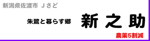 1kg1590円→1300円