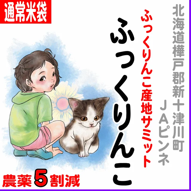 じんめんこさん専用　　まとめ売り5月2日まで JAピンネ)ふっくりんこ-農薬5割減