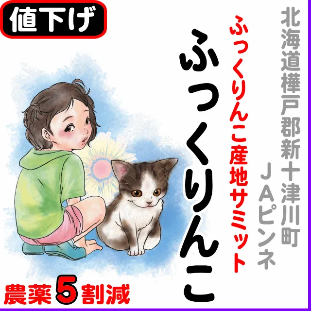 【10％以上値下げ】