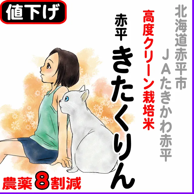 【10％以上値下げ】