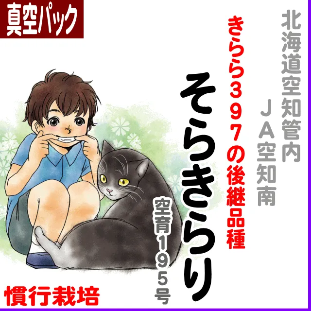 JA空知南)そらきらり(空育195号)-慣行栽培