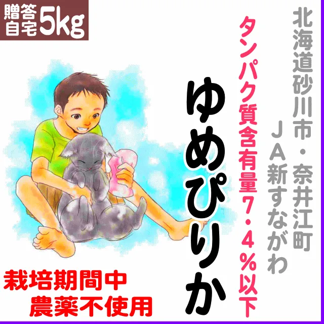【贈答・自宅用5kg】北海道(ＪＡ新すながわ・奈井江)ゆめぴりか タンパク質含有量７.４％以下-栽培期間中不使用