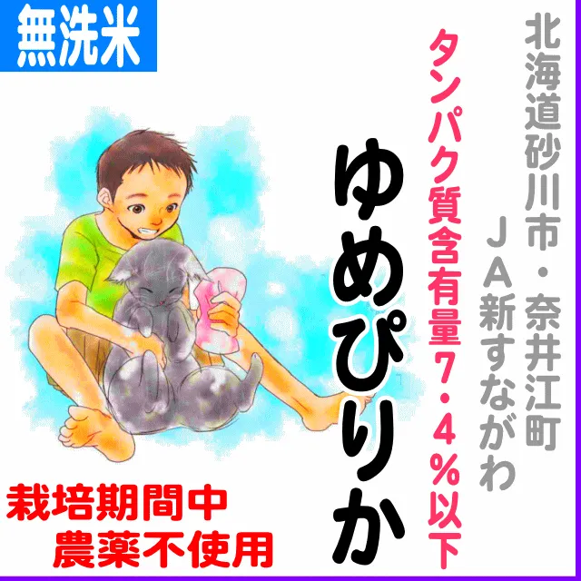 ちゃぶゆめぴりか 41edpMpi3hL._UF350,350_QL50_.jpg