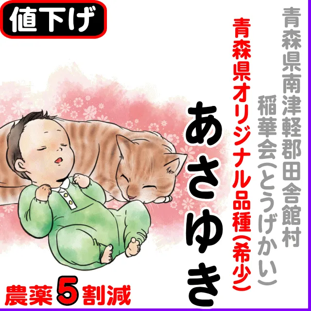 【10％以上値下げ】