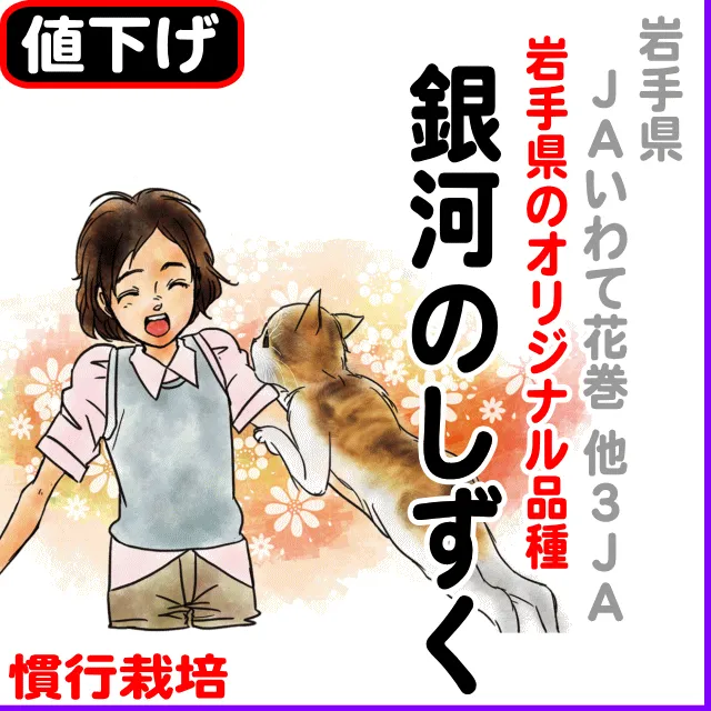 【10％以上値下げ】