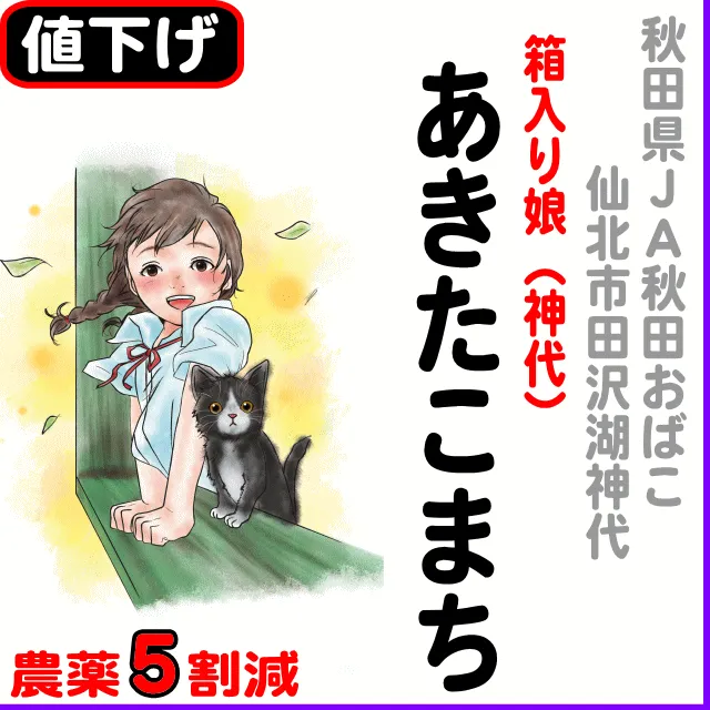 【10％以上値下げ】