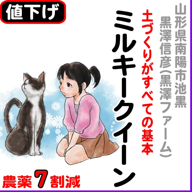 【10％以上値下げ】