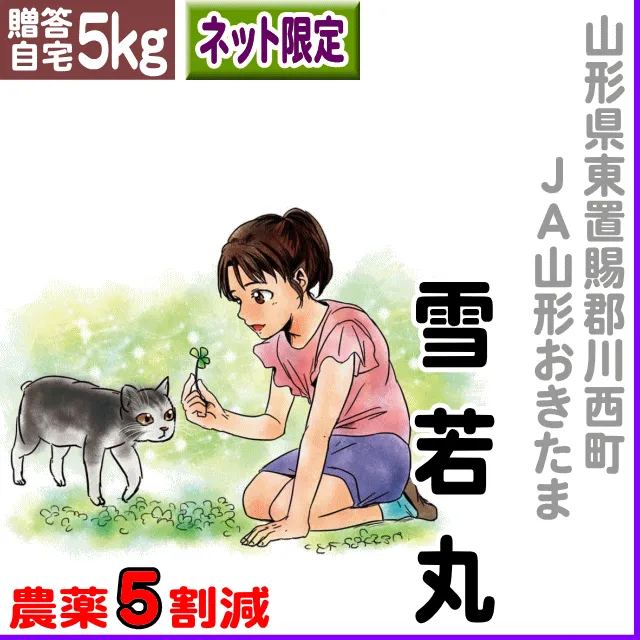 雪若丸-5割減-takara