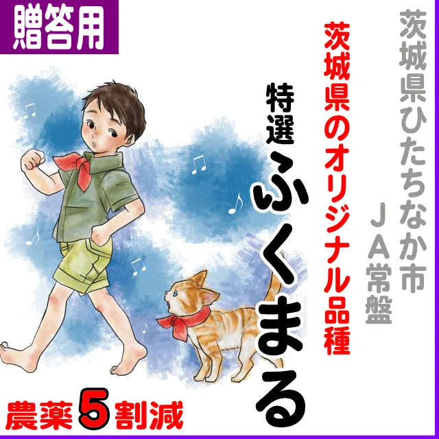 エプロンmamaヒノヒカリ10kg Amazon.co.jp: 千葉県産 無洗米 ふさこがね 5kg 令和6年産 向後