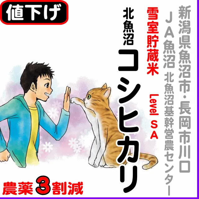 【10％以上値下げ】