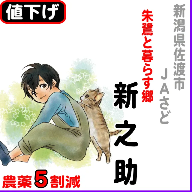 【10％以上値下げ】