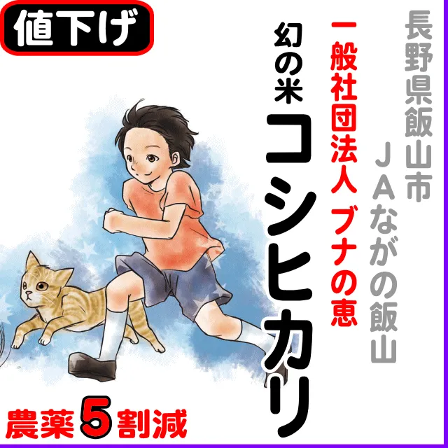 【10％以上値下げ】