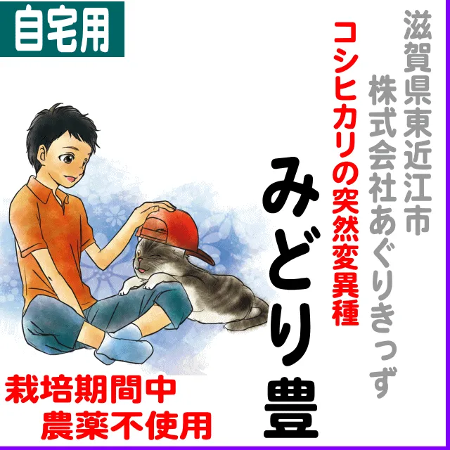 北海道(JA新すながわ)ゆめぴりか6.8% 【ご自宅用5kg】滋賀県東近江市(あぐりきっず)みどり豊-栽培期間中不使用