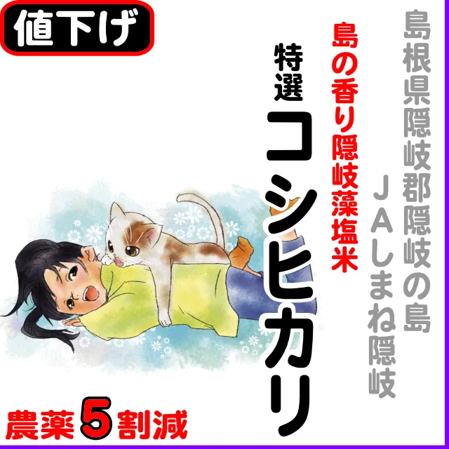 【10％以上値下げ】