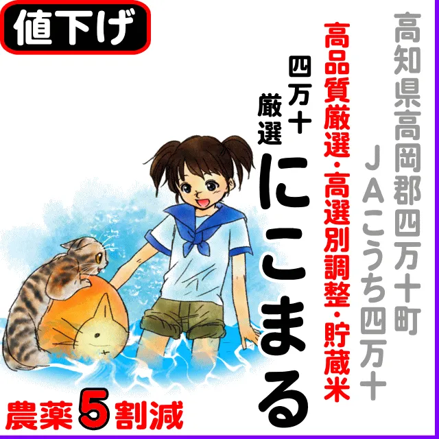 【10％以上値下げ】