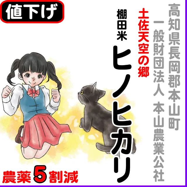 【10％以上値下げ】