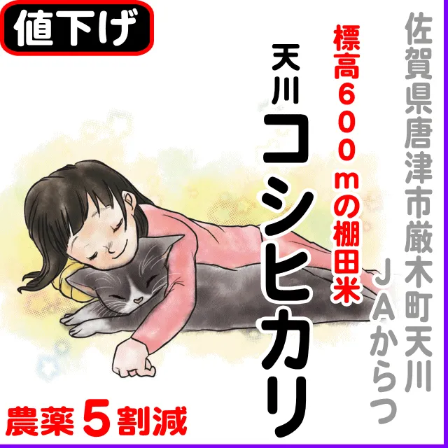 【10％以上値下げ】