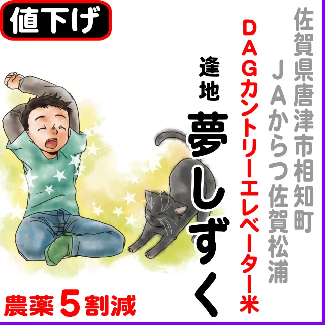 【10％以上値下げ】