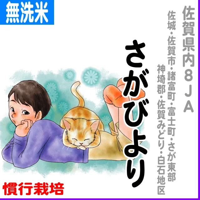 【無洗米2kg】佐賀県(JAさが)さがびより-慣行栽培