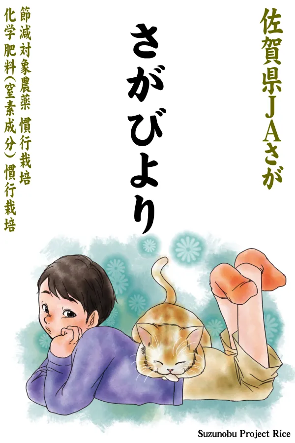 無洗米2kg】佐賀県(JAさが)さがびより-慣行栽培