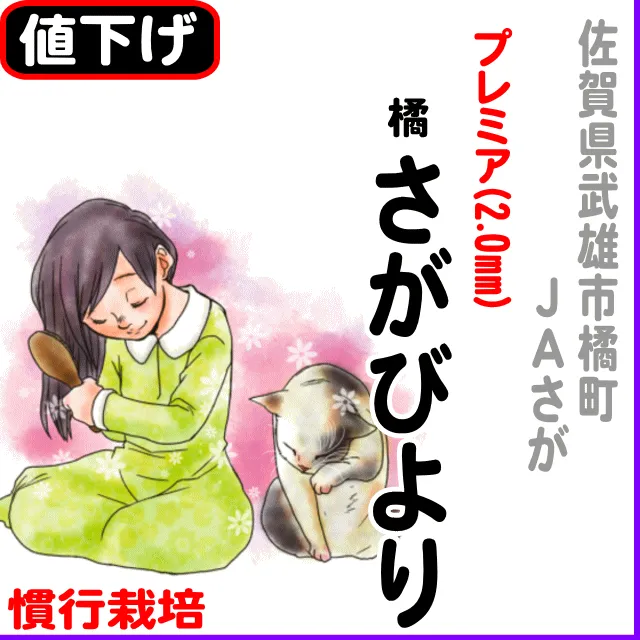 【10％以上値下げ】