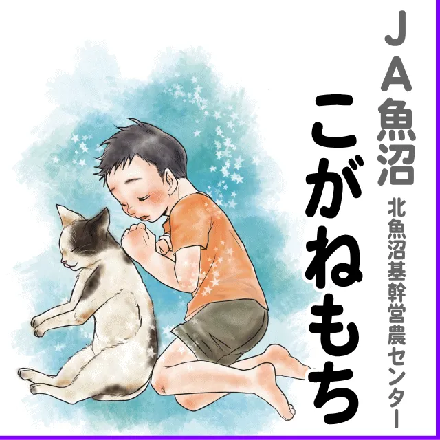 【もち米白米】新潟県JA魚沼こがねもち 450g(3合)