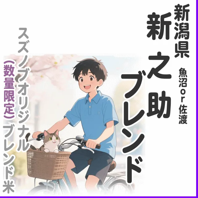 【ブレンド米】新之助ブレンド 1kg